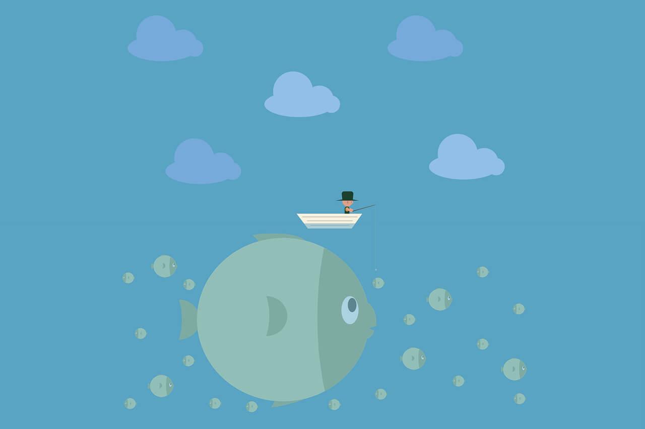 必备软件+网站推荐